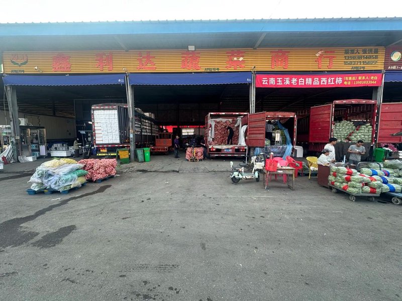 射阳大米：品鉴自然的味道
