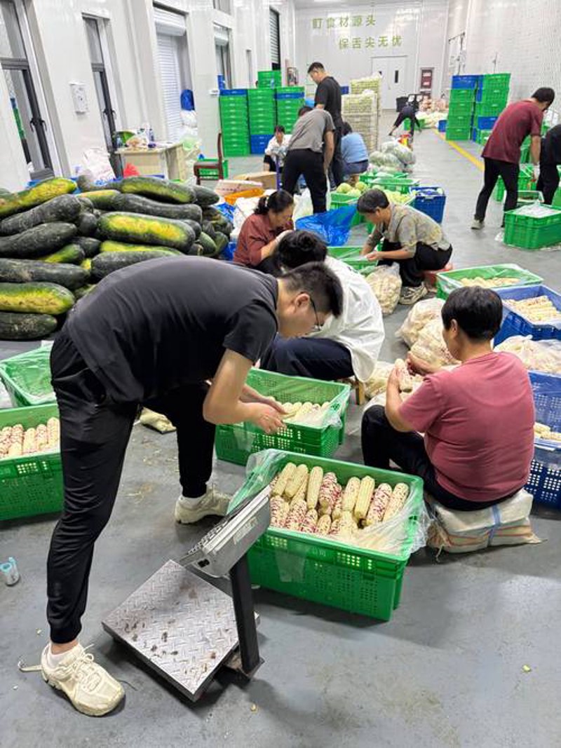 果蔬供货