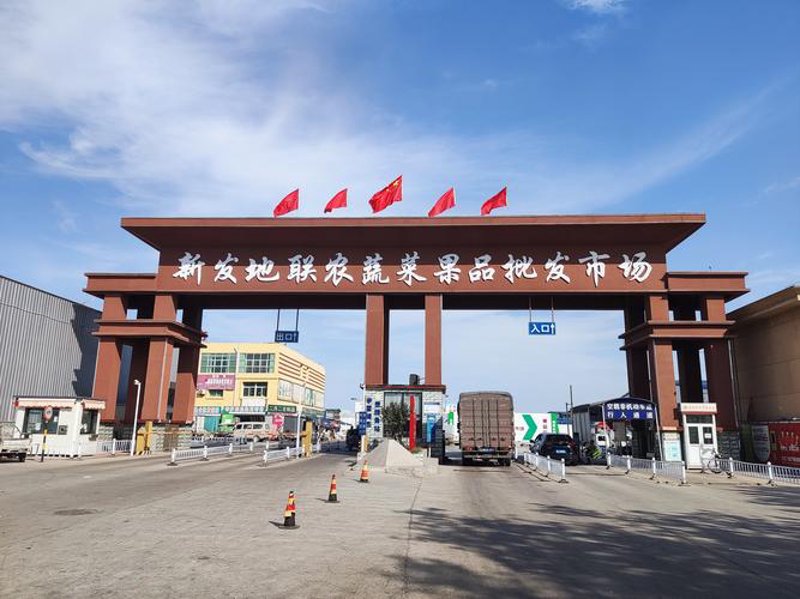 射阳大米批发：绿色生态的新选择